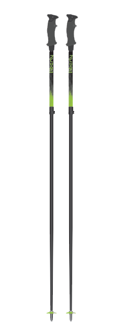 Backcountry Adjustable Pole